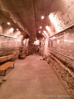 nastero Benedettini-16-03-2014 12-28-17